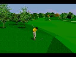 PGA Tour 96